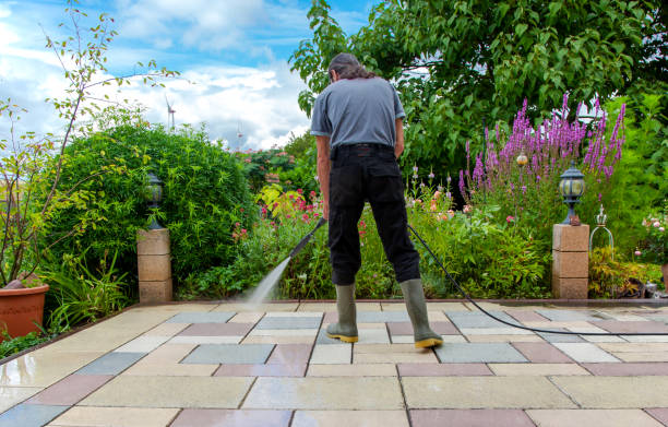 Best Soft Washing for Delicate Surfaces in East Rutherford, NJ